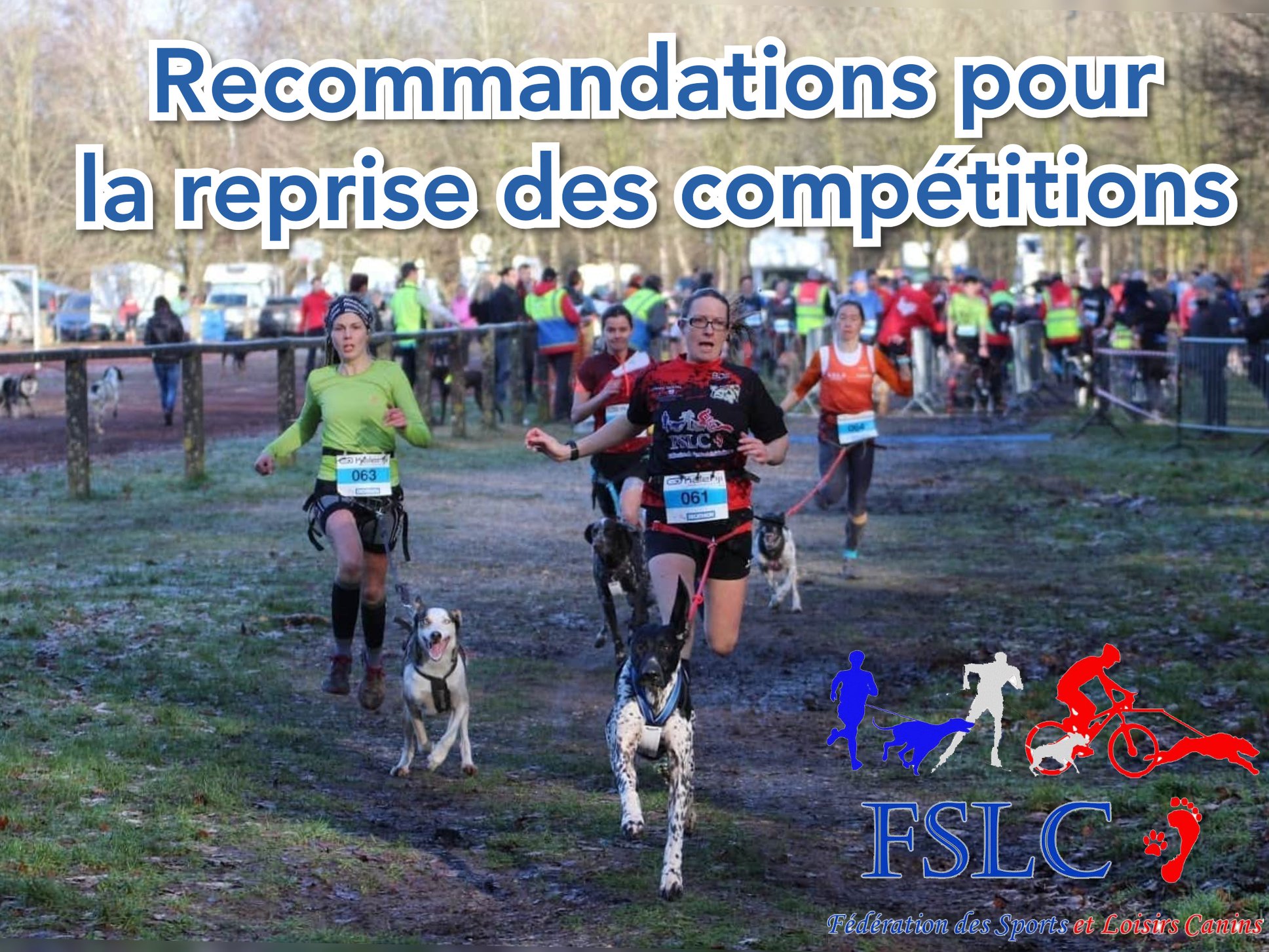Accueil Federation Des Sports Et Loisirs Canins calendrier canicross 2021